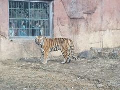 -无锡动物园·太湖欢乐园
