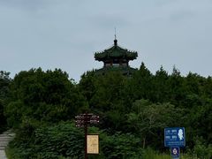 -北京西山国家森林公园