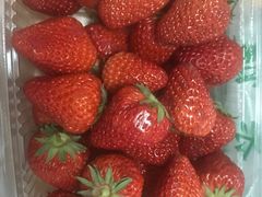 -江杨农产品批发市场