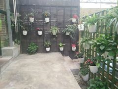 -桉树林A coffee 森林餐厅(三圣乡店)