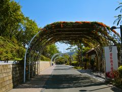 -厦门博饼民俗园