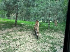 -北京野生动物园