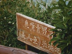 -杨梅坑