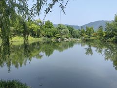 -雅达·阳羡溪山小镇中心