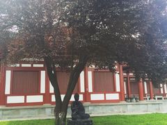 -法门文化景区