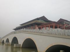 -大湾区中央湿地公园