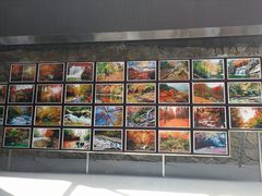 -黎坪国家森林公园