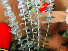 -昆明国际花卉拍卖交易中心