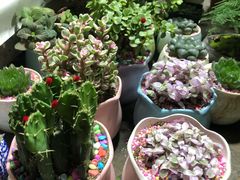 -大学城夜市大排档(凤栖路店)