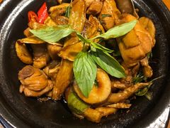 三杯鸡-芒果爆爆(东海缤纷店)