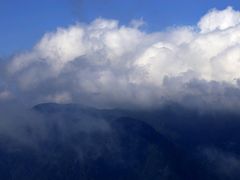 -庐山风景区花径公园
