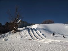-北陵公园