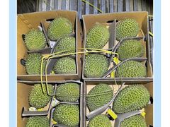 -鲜力达果品批发直销(青山店)