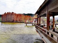 -星湖旅游景区七星岩