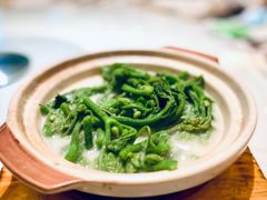 鸡汤南瓜苗-利苑酒家(华熙国际店)