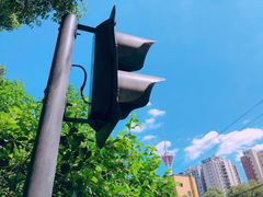 -成都市活水公园