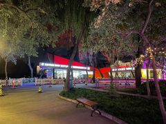 -枫花园汽车电影院(朝阳公园店)
