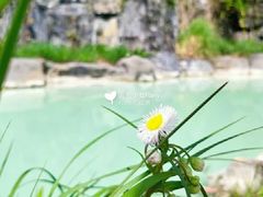 -吴淞炮台湾湿地森林公园烧烤区