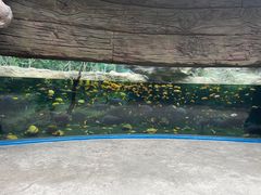 -珠海长隆海洋王国