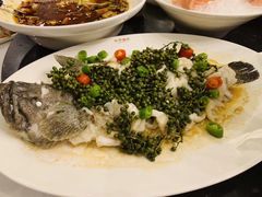 藤椒蒸鱼-海湾壹品·粤菜·早茶·烤鸭(拱北店)