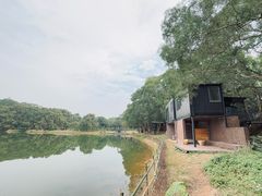 -福建鲤鱼洲酒店