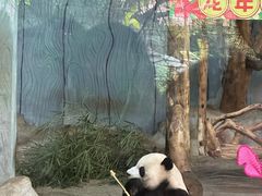 -海南热带野生动植物园