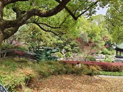 -申粤轩酒楼·三十年粤菜经典(丁香花园店)