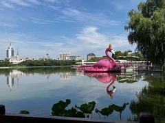 -莲花池公园