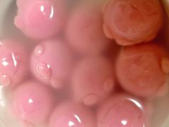 -青岛利群四方购物广场