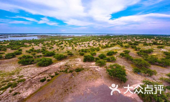 向海景区图片 - 第12张