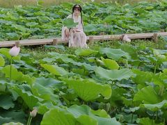 -光明小镇欢乐田园