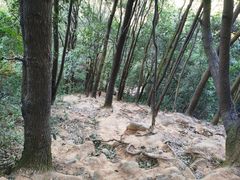 -火炉山森林公园