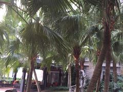 -厦门日月谷温泉渡假村