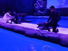 -华夏文旅海洋公园