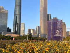 -海心沙亚运公园