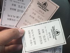 -迪士尼乐园停车场