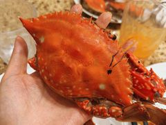 -禾斗海鲜自助(市南银座店)