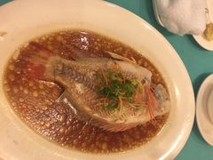 清蒸石斑-银泰阳光度假酒店-海悦轩中餐厅(海花路店)