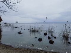 -捞渔河湿地公园