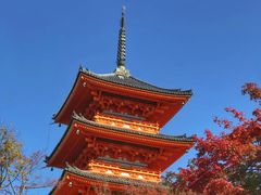 -有栖山 清光院 清水寺