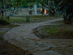 -紫霞湖公园