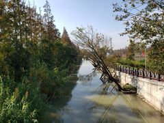 -上海长兴岛郊野公园