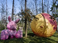 -合肥滨湖国家森林公园