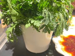 -蜀九香火锅(彩虹店)