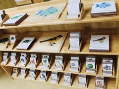 -蒙田森·蒙特梭利幼儿园(锦西园区)