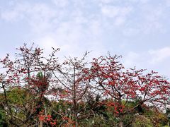 -深圳博物馆(古代艺术馆)