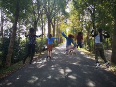 -上海长兴岛郊野公园