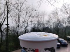 -茶颜悦色(岳麓山顶店)