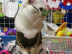 -吴山路夜市