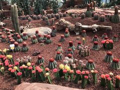 -南通洲际绿博园